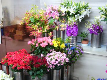北海道札幌市東区の花屋 花の北フラワーにフラワーギフトはお任せください 当店は 安心と信頼の花キューピット加盟店です 花キューピットタウン
